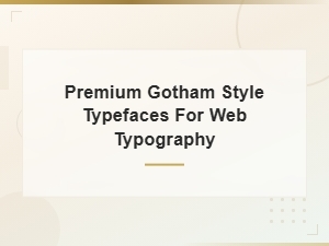 Premium Gotham Style Typefaces for Web Typography